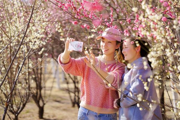 微信图片_20190319082804(1)