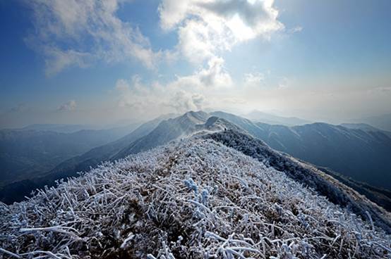 2晨起开门雪满山，雪晴云淡日光寒_副本.jpg