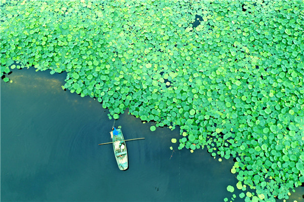 DJI_0784